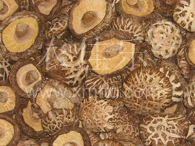 切足白花菇A級5-6cm