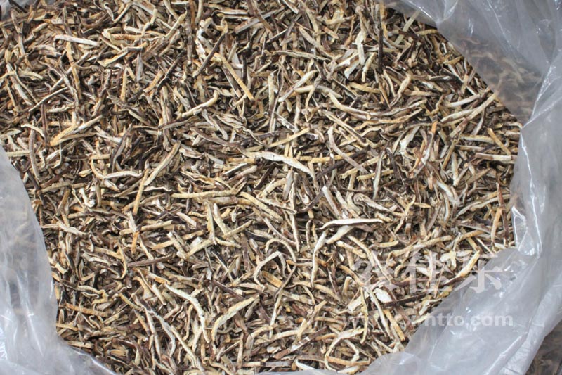 細(xì)かいキノコ4mm