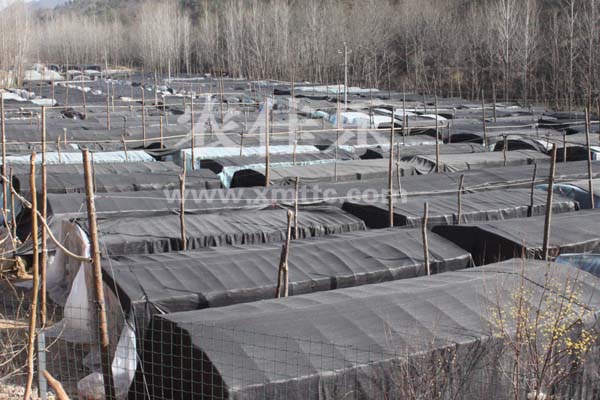 b2011421738.jpg b2011421738.jpg